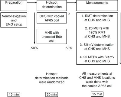 Semi-automated motor hotspot search (SAMHS): a framework toward an optimised approach for motor hotspot identification